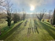 La médiation équine au centre de détention de Mauzac