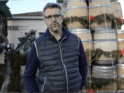 Mariage des arbres et de la vigne à Monbazillac