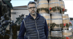 Mariage des arbres et de la vigne à Monbazillac