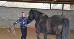 J’ai testé pour vous : la médiation équine