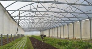 Passage de relais en mode bio