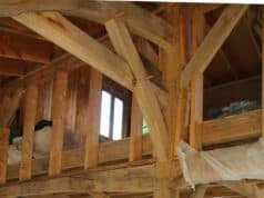 Julien : projet de cœur et ode au vivant Julien