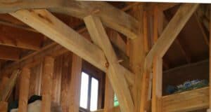 Julien : projet de cœur et ode au vivant Julien