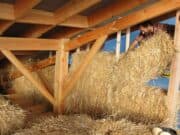 Les différentes techniques de construction paille Pose des bottes