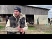 Le cheval au cœur d’un atelier de remobilisation