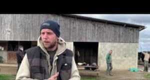 Le cheval au cœur d’un atelier de remobilisation