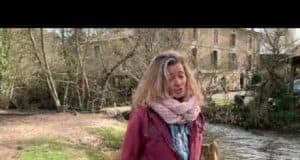 Le Clos des Renardises, sauver pour éduquer