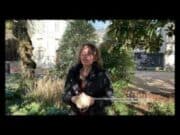 Une fibre locale pour le chanvre aux mille vertus