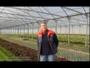 Manger local depuis l’école