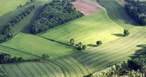 Un lauréat de haut vol