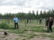 La famille qui plantait des arbres