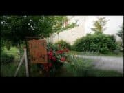 C’est beau, c’est Boschaud