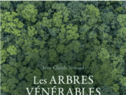 L’arbre, un être vivant au coeur de nos vies