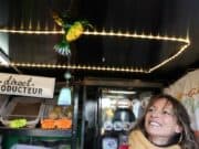 Une épicerie ambulante solidaire en Périgord blanc