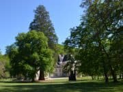 Un Sequoia distingué à Campagne