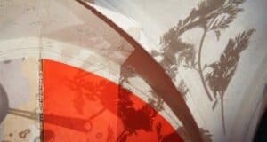 L’irrésistible ascension d’Anita Pentecôte