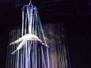 Ancienne ferme et nouveau cirque