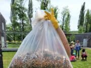 Autant de déchets vestiges de nos incivilités