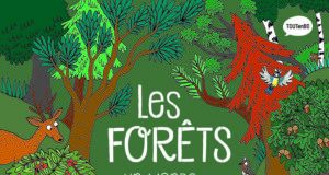 Découvrir le monde fabuleux des forêts