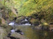 Qualité de l’eau : un juste milieu entre prévention et réparation