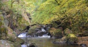 Qualité de l’eau : un juste milieu entre prévention et réparation