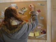 Prendre les chemins de La Traverse