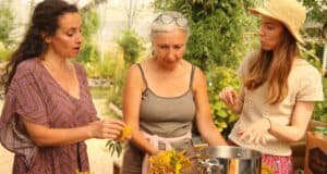 Une palette de couleurs offerte par la nature