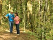 La langue d’Oc sort le grand jeu