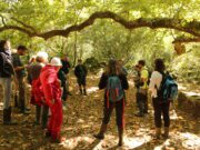 La Tardoire, confluence de patrimoines