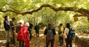 La Tardoire, confluence de patrimoines