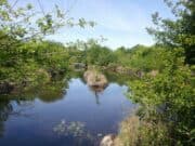 48 heures au cœur de la nature