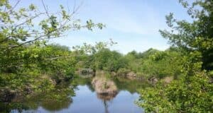 48 heures au cœur de la nature