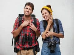 Qui s’y frotte ne pique plus