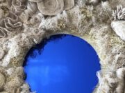 Au fond, c’étaient les coraux…