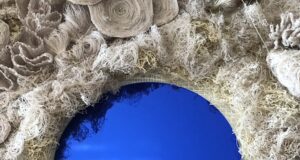 Au fond, c’étaient les coraux…