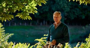 La vengeance de la châtaigne en Périgord-Limousin