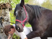 Le pied à l’étrier