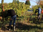 L’insertion, la raison d’être de l’association Bergeracoise BASE Insertion association BASE Bergerac