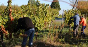 L’insertion, la raison d’être de l’association Bergeracoise BASE Insertion association BASE Bergerac