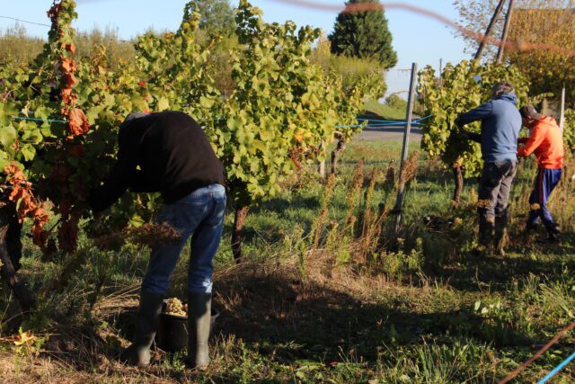 Insertion association BASE Bergerac