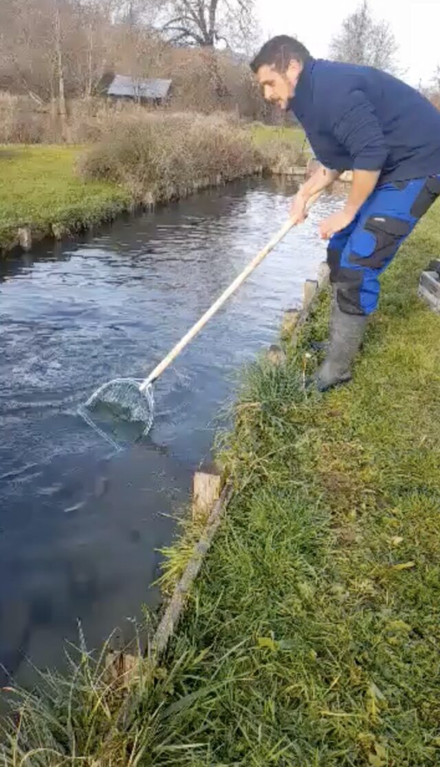 Pisciculture Larzac truites