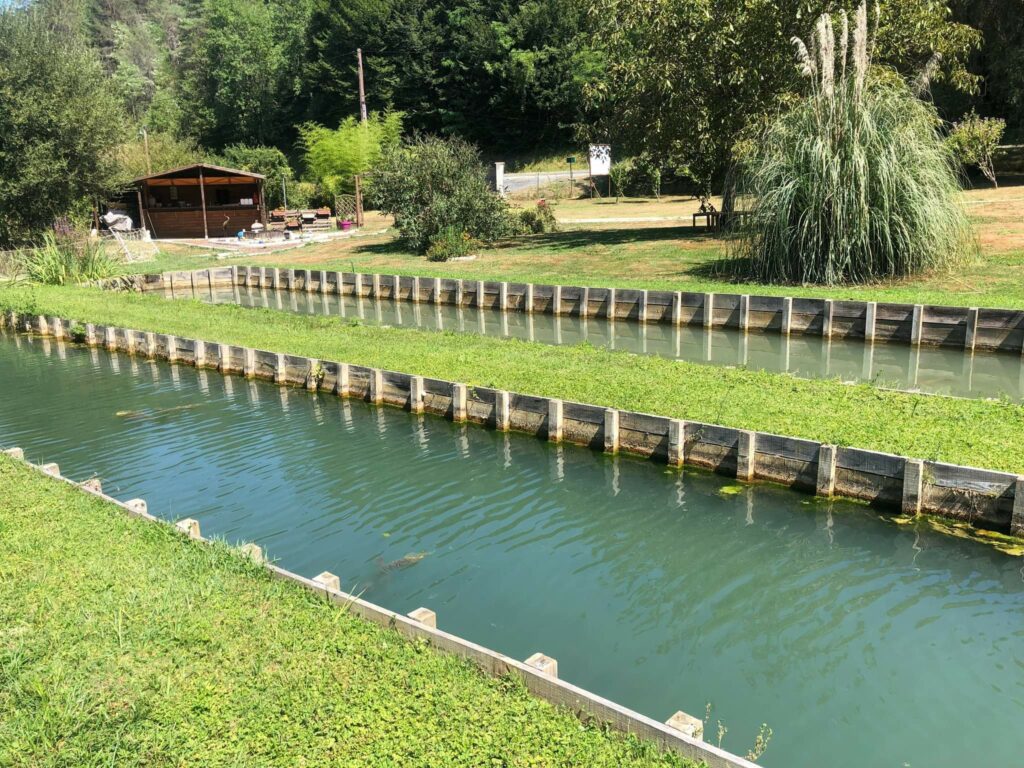 Pisciculture Larzac truites