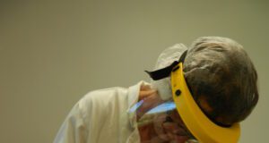 Les cœurs de lait sont dans la prairie. Coeurs de lait chèvres Périgord