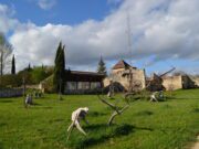 Quatre artistes périgourdins liés par l’Égrégore