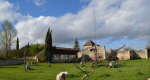 Quatre artistes périgourdins liés par l’Égrégore
