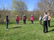 Sophrologie et nature : un duo apaisant Balade santé sophrologie Bergerac