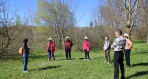 Sophrologie et nature : un duo apaisant Balade santé sophrologie Bergerac