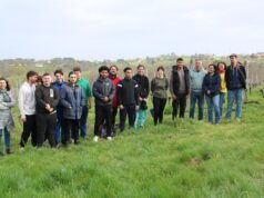 BASE : La vigne pédagogique, solidaire et inclusive Immersion viticulture insertion emploi