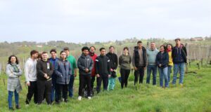 BASE : La vigne pédagogique, solidaire et inclusive Immersion viticulture insertion emploi