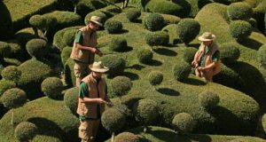 L’art topiaire au sommet à Marqueyssac
